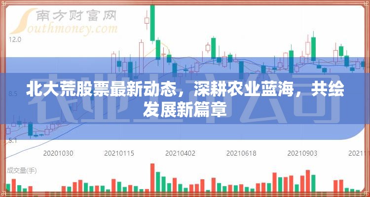 北大荒股票最新動態(tài)，深耕農(nóng)業(yè)藍(lán)海，共繪發(fā)展新篇章