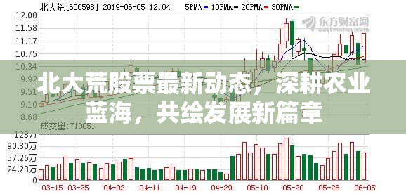 北大荒股票最新動(dòng)態(tài)，深耕農(nóng)業(yè)藍(lán)海，共繪發(fā)展新篇章
