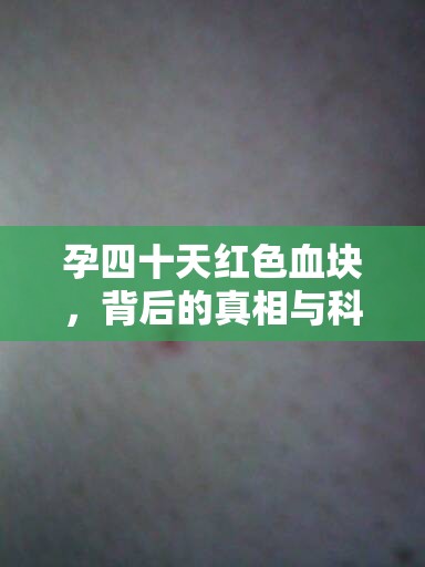 孕四十天紅色血塊，背后的真相與科學(xué)應(yīng)對策略