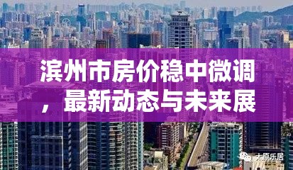 濱州市房價穩(wěn)中微調(diào)，最新動態(tài)與未來展望