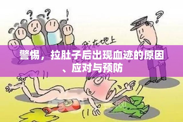 警惕，拉肚子后出現(xiàn)血跡的原因、應(yīng)對與預(yù)防