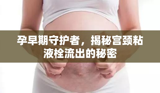 孕早期守護者，揭秘宮頸粘液栓流出的秘密