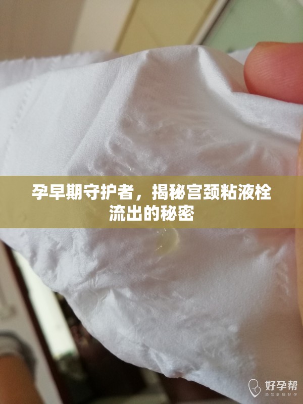 孕早期守護(hù)者，揭秘宮頸粘液栓流出的秘密