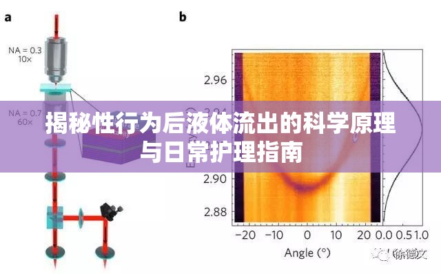 揭秘性行為后液體流出的科學(xué)原理與日常護(hù)理指南