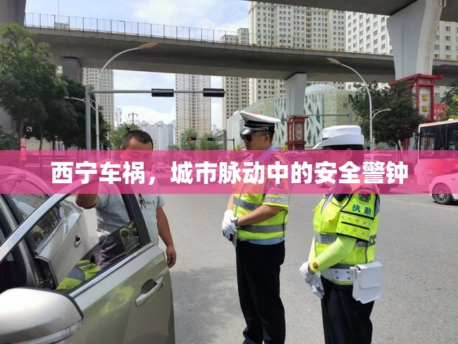 西寧車禍，城市脈動中的安全警鐘