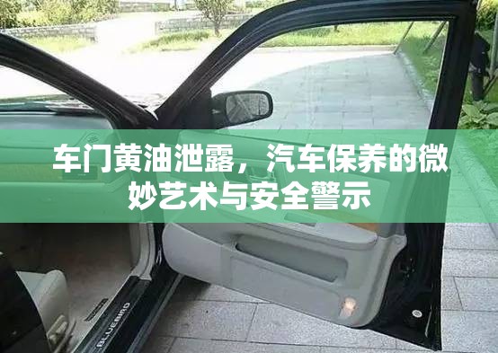 車門黃油泄露，汽車保養(yǎng)的微妙藝術與安全警示