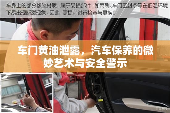 車門黃油泄露，汽車保養(yǎng)的微妙藝術(shù)與安全警示