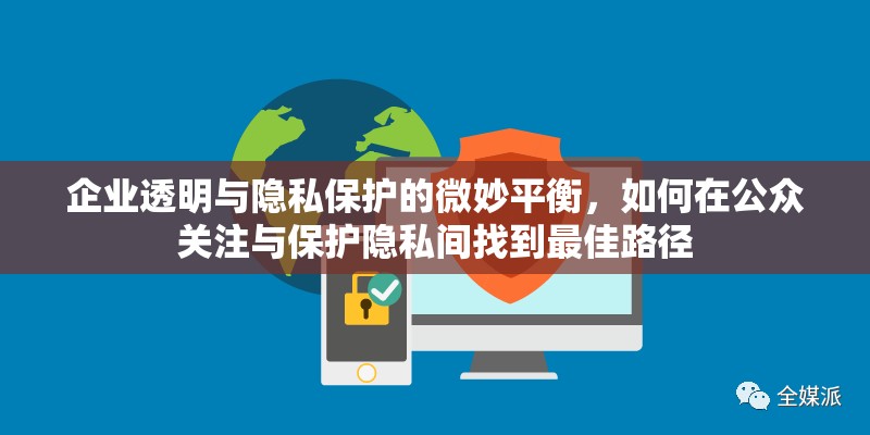 企業(yè)透明與隱私保護(hù)的微妙平衡，如何在公眾關(guān)注與保護(hù)隱私間找到最佳路徑