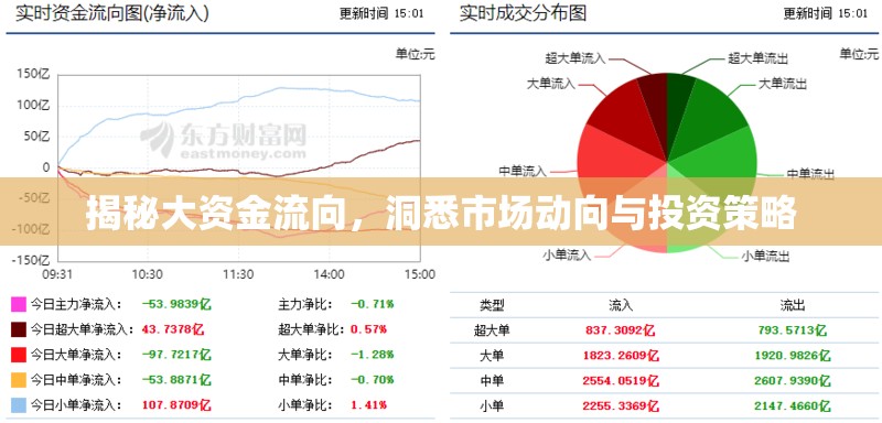 揭秘大資金流向，洞悉市場(chǎng)動(dòng)向與投資策略