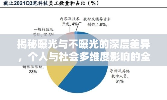 揭秘曝光與不曝光的深層差異，個(gè)人與社會(huì)多維度影響的全面剖析