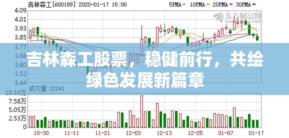 吉林森工股票，穩(wěn)健前行，共繪綠色發(fā)展新篇章