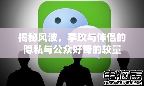 揭秘風(fēng)波，李玟與伴侶的隱私與公眾好奇的較量