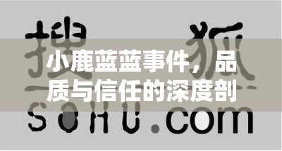 小鹿藍藍事件，品質(zhì)與信任的深度剖析