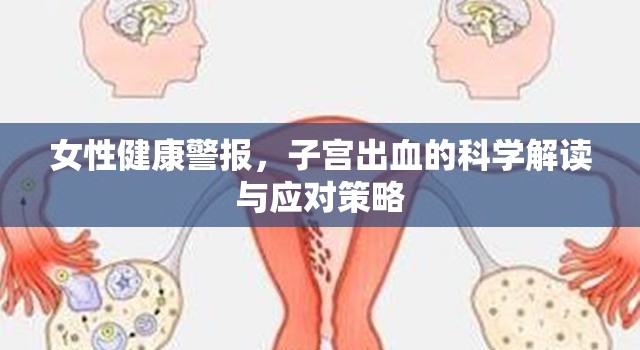 女性健康警報，子宮出血的科學解讀與應(yīng)對策略