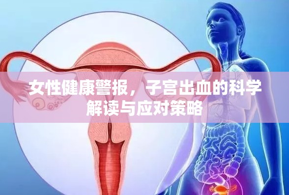 女性健康警報，子宮出血的科學解讀與應(yīng)對策略