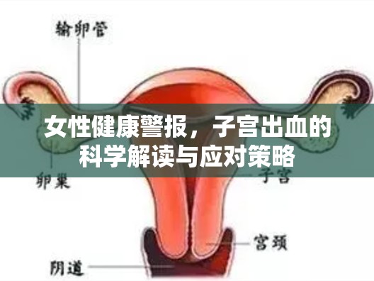 女性健康警報，子宮出血的科學解讀與應(yīng)對策略