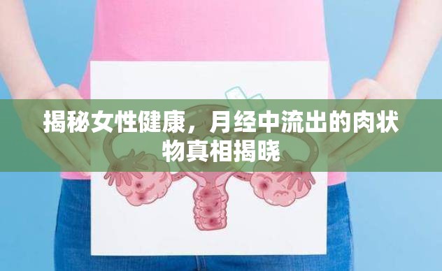 揭秘女性健康，月經(jīng)中流出的肉狀物真相揭曉