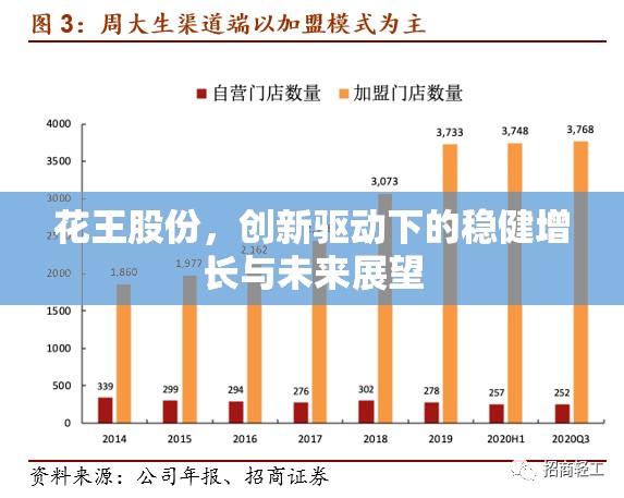 花王股份，創(chuàng)新驅(qū)動(dòng)下的穩(wěn)健增長(zhǎng)與未來展望