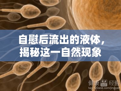 自慰后流出的液體，揭秘這一自然現(xiàn)象的真相