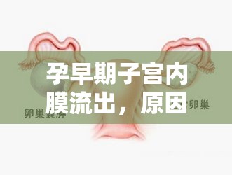 孕早期子宮內膜流出，原因與應對策略