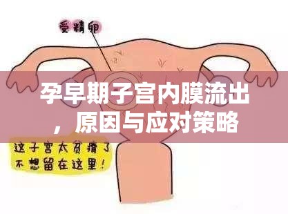 孕早期子宮內膜流出，原因與應對策略