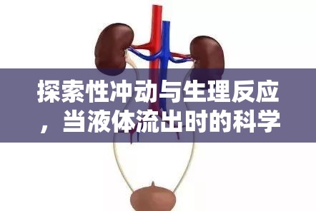 探索性沖動與生理反應，當液體流出時的科學理解