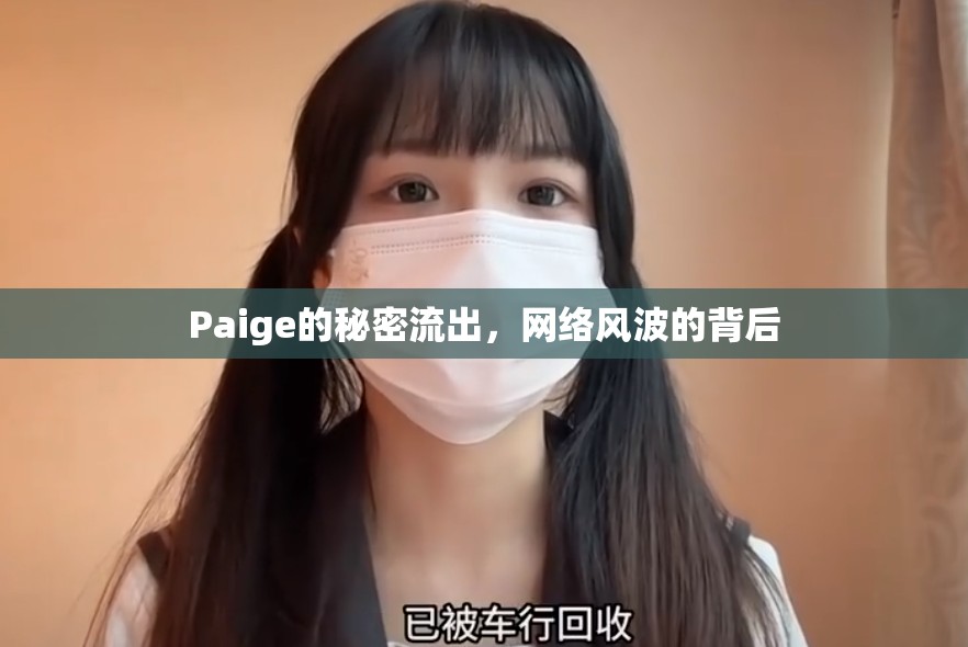 Paige的秘密流出，網(wǎng)絡(luò)風(fēng)波的背后