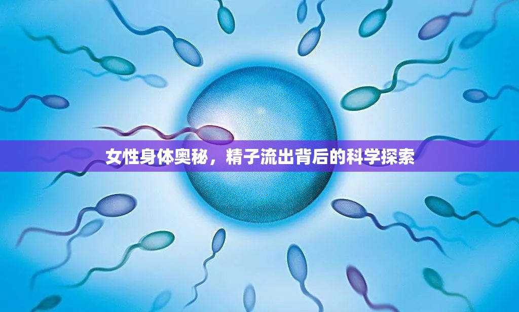 女性身體奧秘，精子流出背后的科學探索