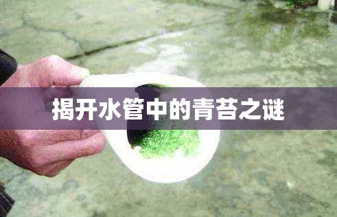 揭開水管中的青苔之謎