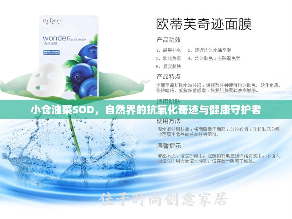 小倉油菜SOD，自然界的抗氧化奇跡與健康守護者