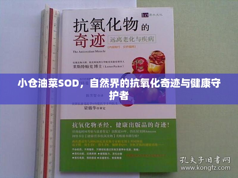 小倉油菜SOD，自然界的抗氧化奇跡與健康守護(hù)者