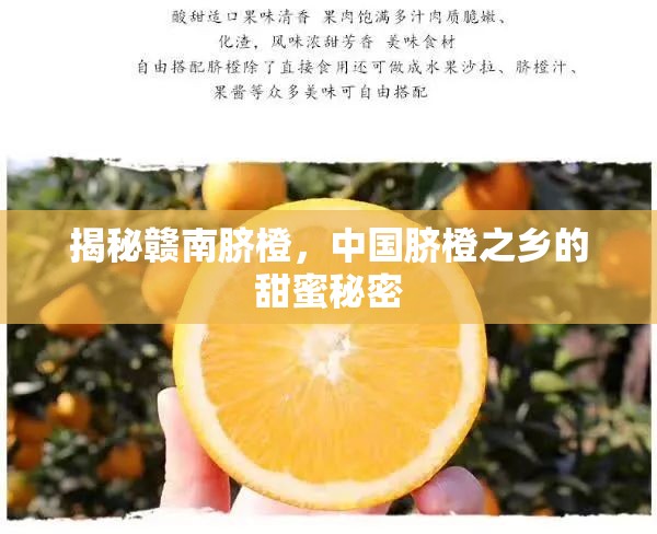 揭秘贛南臍橙，中國臍橙之鄉(xiāng)的甜蜜秘密