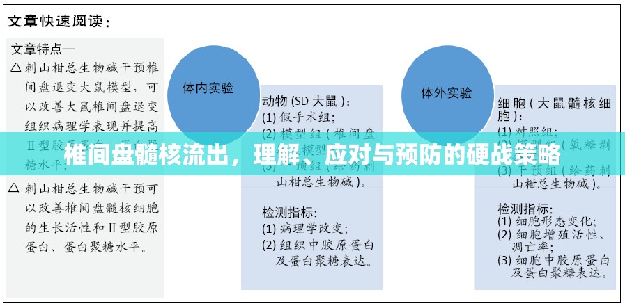 椎間盤髓核流出，理解、應(yīng)對與預(yù)防的硬戰(zhàn)策略