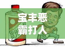 寶豐惡霸打人事件，最新進(jìn)展與公眾關(guān)切