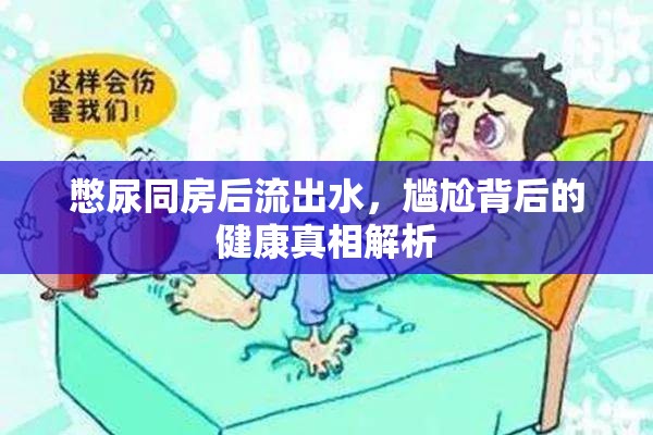 憋尿同房后流出水，尷尬背后的健康真相解析