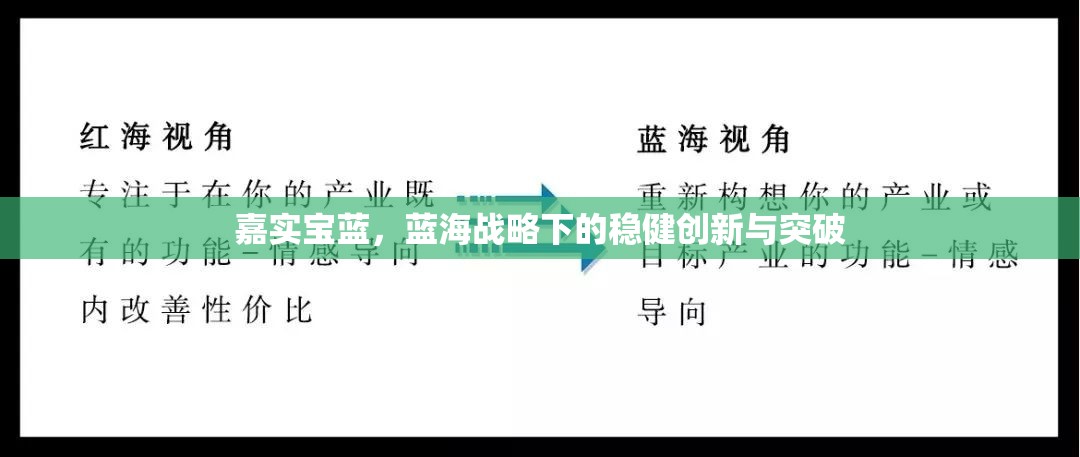 嘉實寶藍，藍海戰(zhàn)略下的穩(wěn)健創(chuàng)新與突破