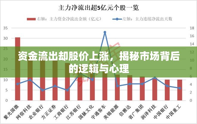 資金流出卻股價上漲，揭秘市場背后的邏輯與心理