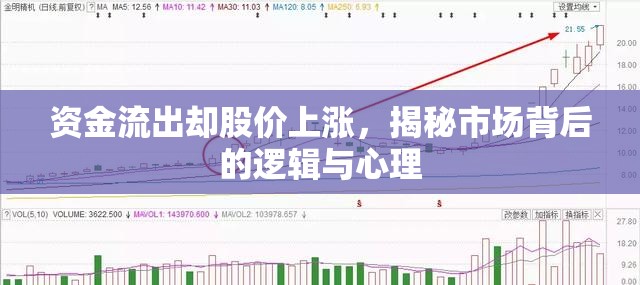 資金流出卻股價上漲，揭秘市場背后的邏輯與心理