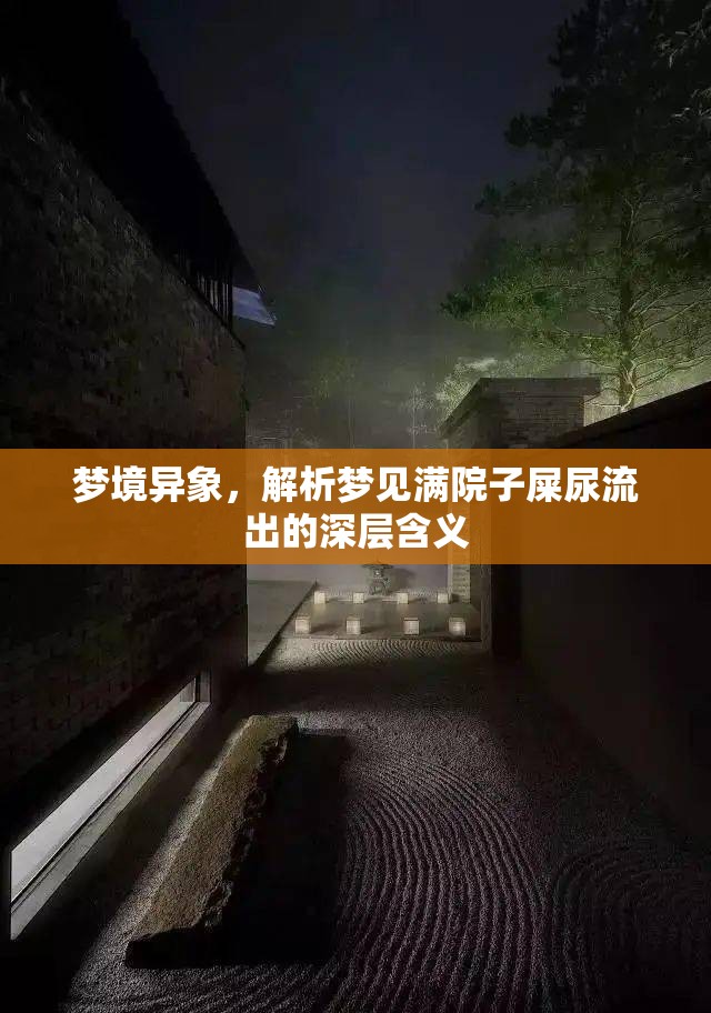 夢境異象，解析夢見滿院子屎尿流出的深層含義