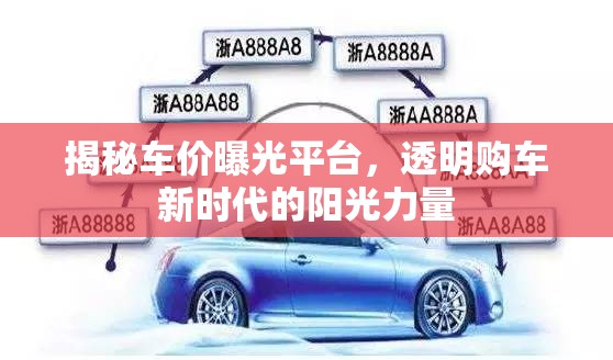 揭秘車價曝光平臺，透明購車新時代的陽光力量