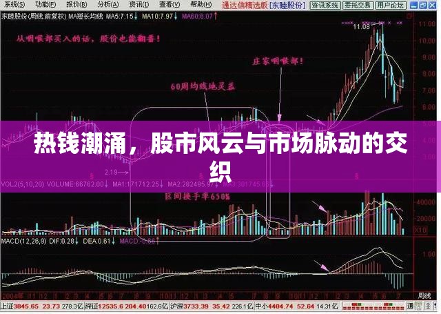 熱錢潮涌，股市風(fēng)云與市場脈動的交織