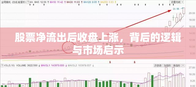 股票凈流出后收盤上漲，背后的邏輯與市場啟示