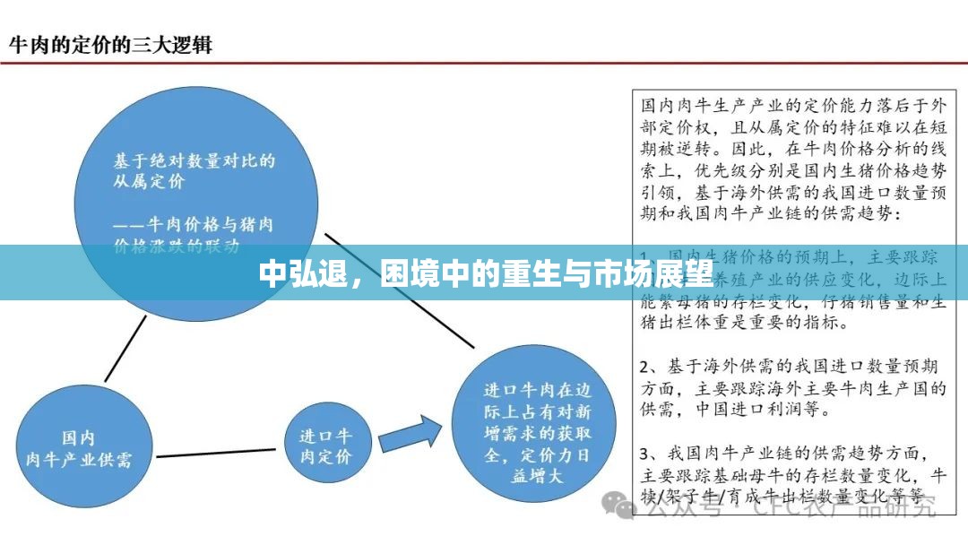 中弘退，困境中的重生與市場(chǎng)展望