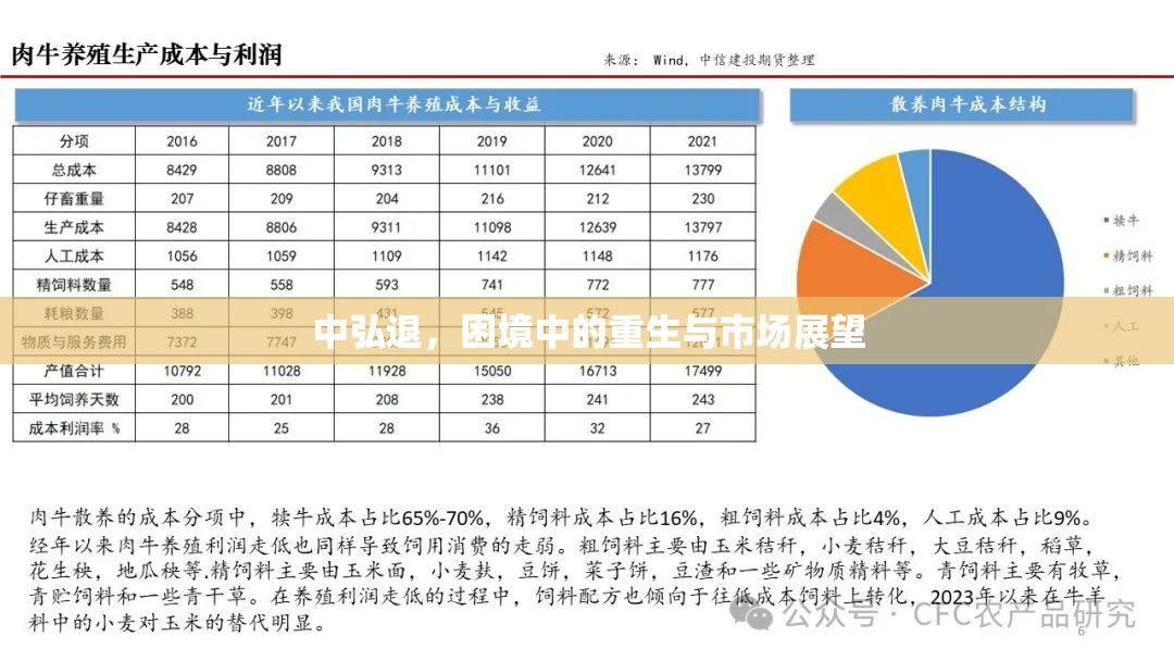 中弘退，困境中的重生與市場展望