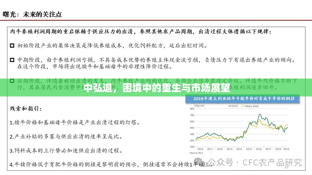 中弘退，困境中的重生與市場(chǎng)展望