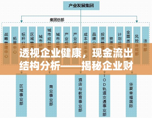 透視企業(yè)健康，現(xiàn)金流出結(jié)構(gòu)分析——揭秘企業(yè)財(cái)務(wù)流動(dòng)的秘密