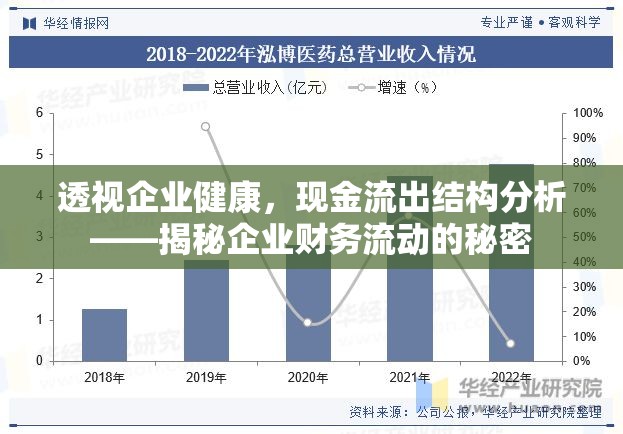 透視企業(yè)健康，現(xiàn)金流出結(jié)構(gòu)分析——揭秘企業(yè)財(cái)務(wù)流動(dòng)的秘密