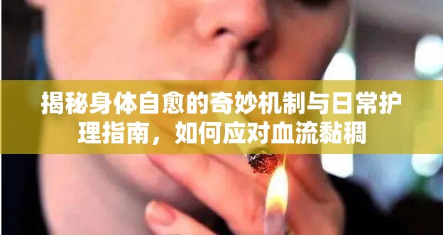 揭秘身體自愈的奇妙機制與日常護理指南，如何應對血流黏稠