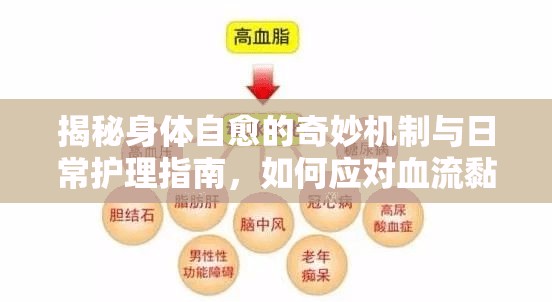 揭秘身體自愈的奇妙機制與日常護理指南，如何應對血流黏稠