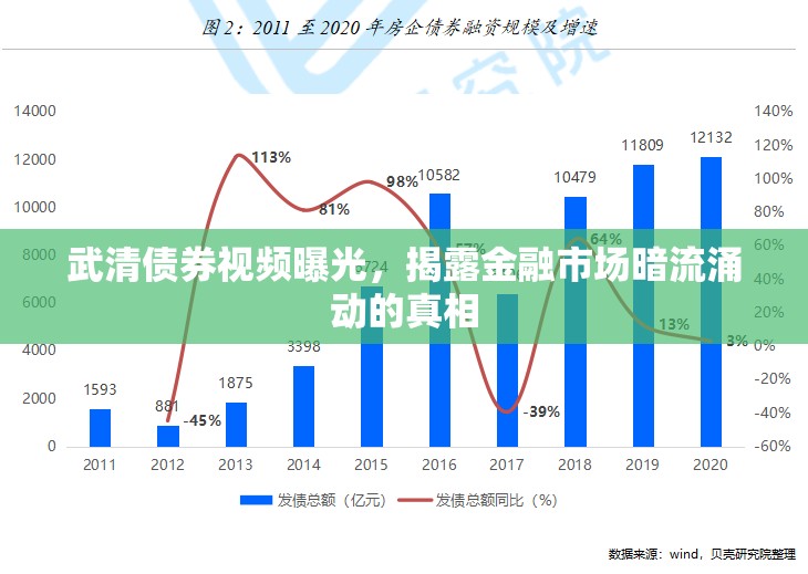 武清債券視頻曝光，揭露金融市場(chǎng)暗流涌動(dòng)的真相